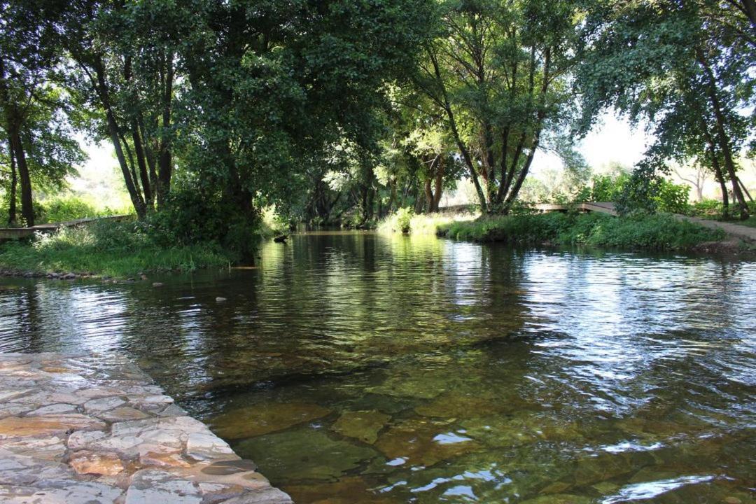 Гостевой дом Casa Rural La Jara Ла-Кодосера Экстерьер фото